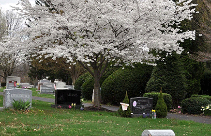 Greenwich
                                      Cemetery
