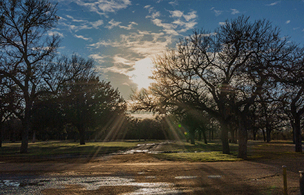 Tottenham Park
                                      Cemetery